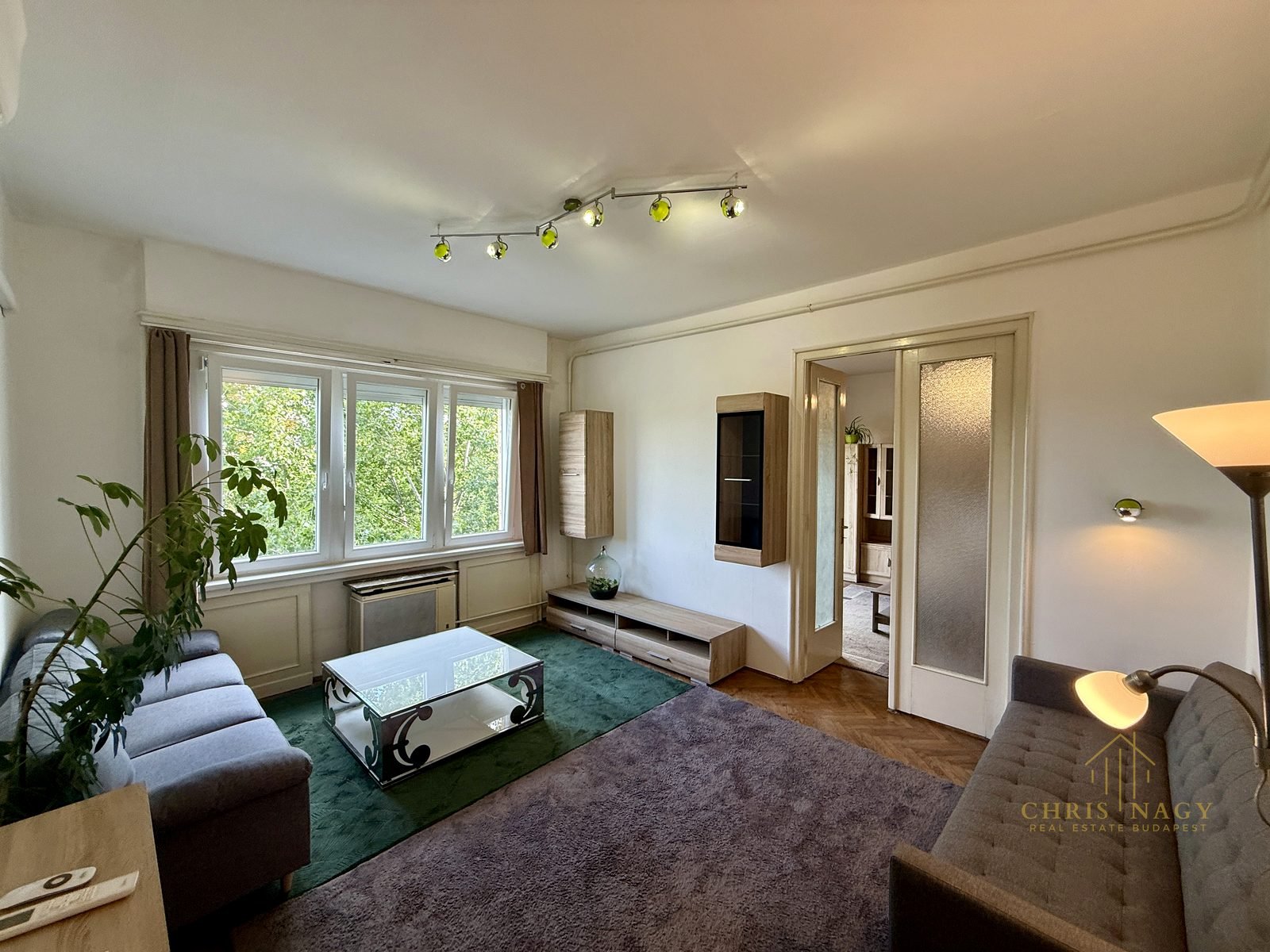 Green-View Two-Balcony Apartment, District VIII
