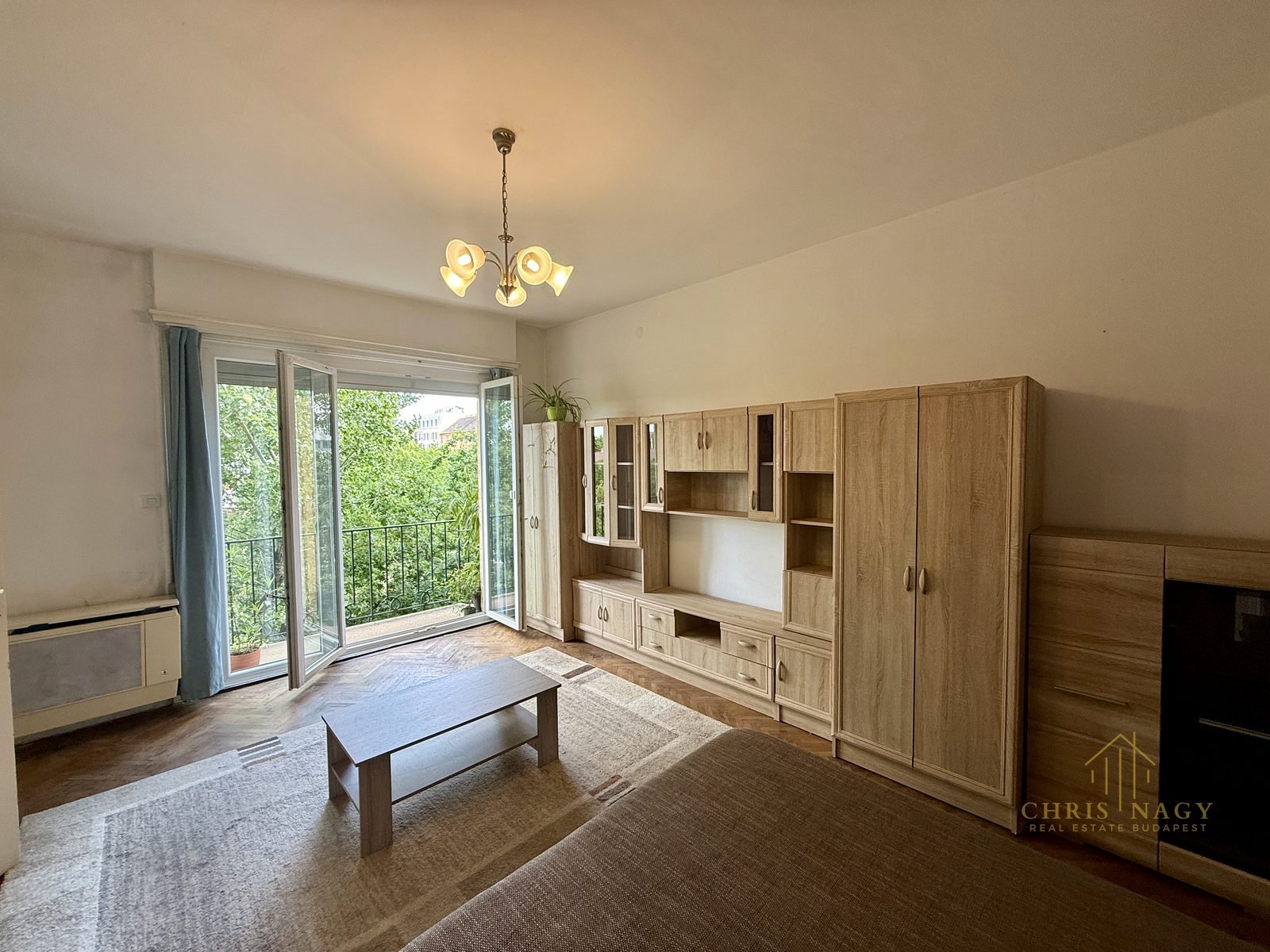 Green-View Two-Balcony Apartment, District VIII